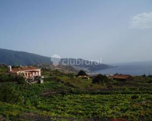 Fotos De Casa Carlota La Palma Bre A Baja Clubrural