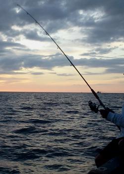 Pesca Huelva