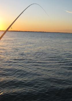 Pesca Huelva