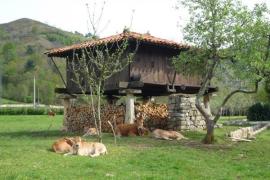 Hotel Rural Sucuevas casa rural en Cangas De Onis (Asturias)