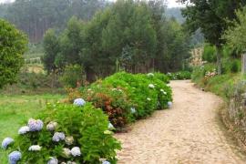 Quinta da Gândara casa rural en Sever Do Vouga (Aveiro)