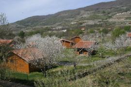 El Rincon del Jerte casa rural en Rebollar (Cáceres)