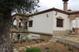 Casa Acebuche casa rural en Vejer De La Frontera (Cádiz)