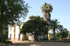Finca El Cortijillo casa rural en San Pablo De Buceite (Cádiz)