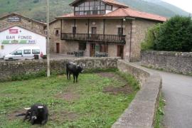 Posada La Capellanía casa rural en Celis (Cantabria)