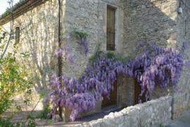 Can Dou casa rural en Les Planes D' Hostoles (Girona)