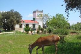 San Jose casa rural en Andujar (Jaén)