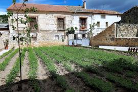 Casa Rural Río Duratón casa rural en Laguna De Contreras (Segovia)