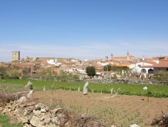 Resultado de imagen de barceo salamanca