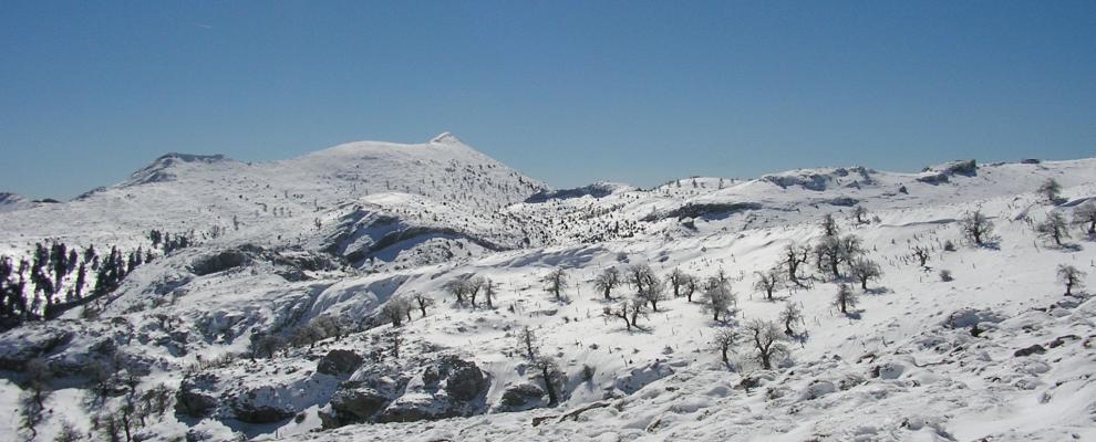 Sierra De Las Nieves