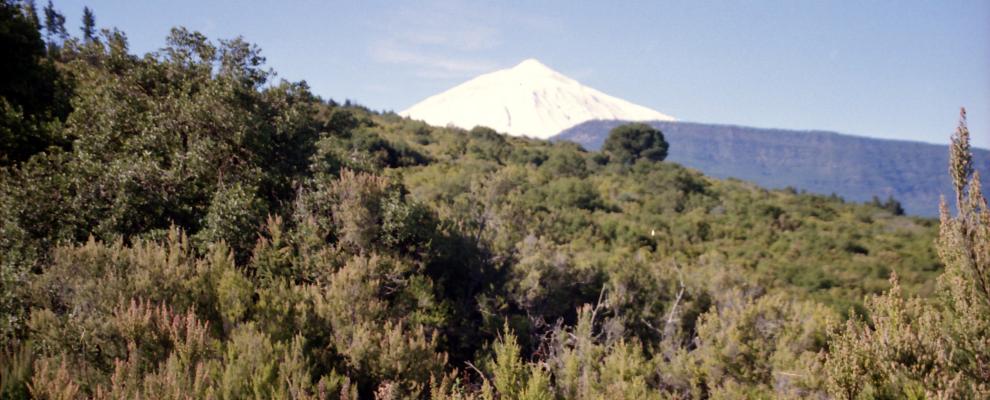Valle De La Orotava