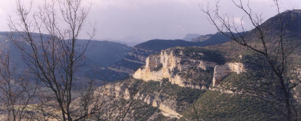 Valle De Zamanzas